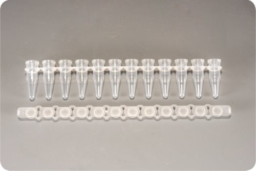0.2ml 12-Strips PCR Tubes with Flat cap (PCR 12스트립 튜브&amp;Flat 캡_AX.PCR-0212-FCP-C) - 고려에이스 쇼핑몰