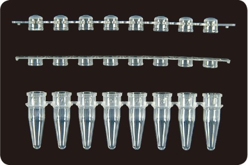★프로모션★ 0.2ml 8-Strips PCR® Tubes (PCR 8스트립 튜브  AX.PCR-0208-  ) - 고려에이스 쇼핑몰