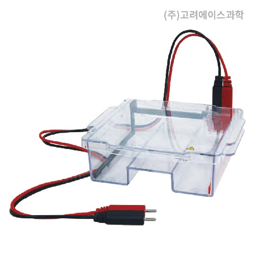 Electrophoresis System (전기 영동 장치)