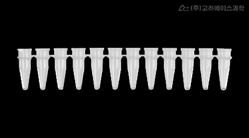 0.2ml 12-Strips PCR Tubes (PCR 12스트립 튜브(Tube Only)_AX.PCR-0212-C) - 고려에이스 쇼핑몰