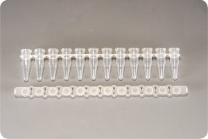 0.2ml 12-Strips PCR Tubes with Flat cap (PCR 12스트립 튜브&amp;Flat 캡_AX.PCR-0212-FCP-C) - 고려에이스 쇼핑몰