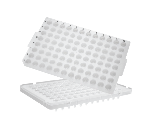 96-well PCR Microplates_Half Skirt, Low Profile (96 PCR 플레이트(ABI)_AX.PCR-96-LP-AB-C) - 고려에이스 쇼핑몰