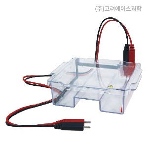 Electrophoresis System (전기 영동 장치)