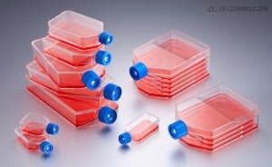 12.5cm²/25mL Canted Neck Flasks (셀컬처 플라스크_25ml) - 고려에이스 쇼핑몰