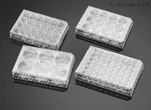 Falcon® Cell Culture Plates and Microplates (셀컬처 플레이트 48-Well)