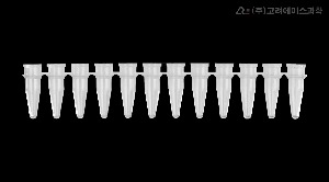 0.2ml 12-Strips PCR Tubes (PCR 12스트립 튜브(Tube Only)_AX.PCR-0212-C) - 고려에이스 쇼핑몰