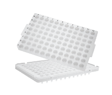 96-well PCR Microplates_Half Skirt, Low Profile (96 PCR 플레이트(ABI)_AX.PCR-96-LP-AB-C) - 고려에이스 쇼핑몰